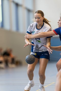 Bild 89 - wBJ HTS/BW96 Handball - Niendorfer TSV : Ergebnis: 27:27